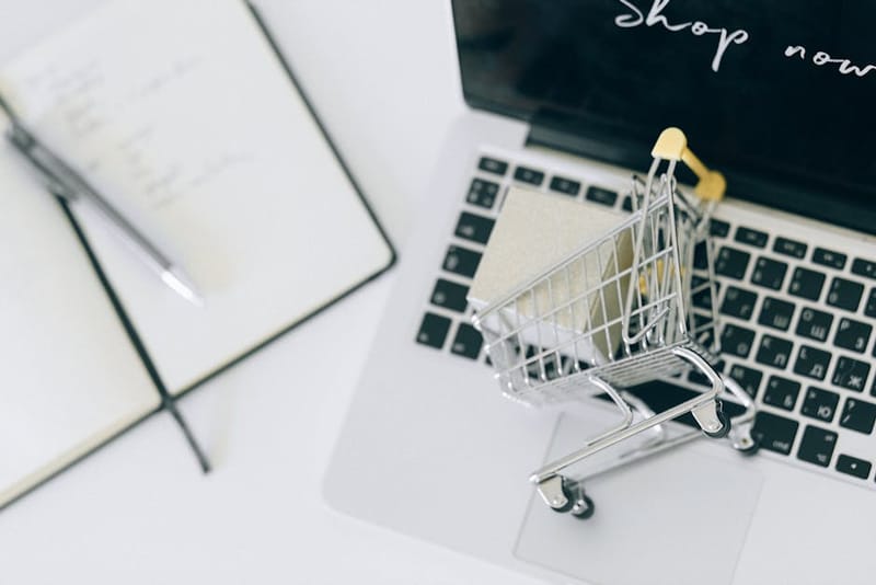 What biases AI shopping agents to pick your products?